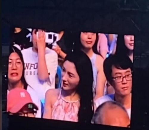 吃瓜視頻演唱會在線觀看,吃瓜視頻演唱會在線直播，帶你領略音樂魅力