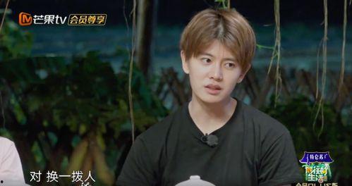 吃瓜老少女任嘉倫視頻,揭秘娛樂圈幕后故事