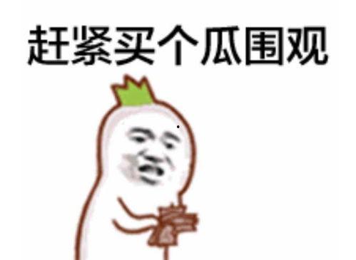 抱抱吃瓜群眾視頻大全,揭秘?zé)衢T視頻背后的趣味故事