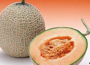 烏龜吃哈密瓜行嗎視頻,趣味互動視頻大揭秘