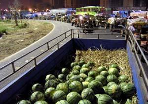 永年產(chǎn)業(yè)城吃瓜視頻,揭秘吃瓜群眾的視角下的產(chǎn)業(yè)新城生活