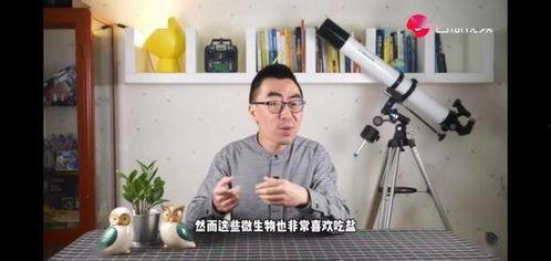 外國人吃土瓜視頻大全集,外國人挑戰吃土瓜視頻大集合