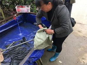 吃瓜群眾裝貨回家視頻,網友直呼“太接地氣”