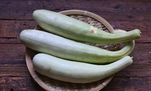 面瓜幾天吃一次最好呢視頻,健康飲食的黃金比例揭秘