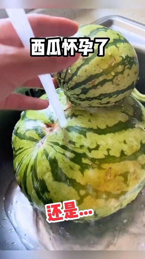 搞笑吃瓜商家視頻,帶你領(lǐng)略美食界的歡樂盛宴