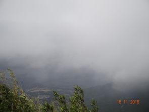 七娘山吃瓜視頻,一場別開生面的吃瓜盛宴