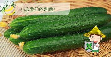 最好的吃瓜視頻