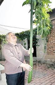 八旬老太在線吃瓜視頻,揭秘銀發族新潮流