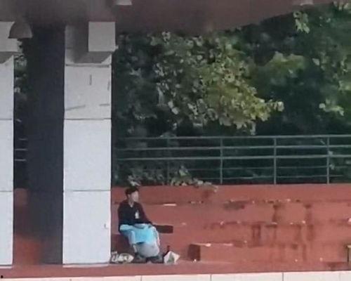 上海大學吃瓜視頻,揭秘校園生活趣味瞬間