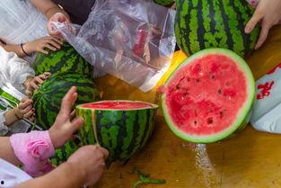 中國(guó)民間吃瓜視頻,短視頻時(shí)代的全民娛樂(lè)盛宴