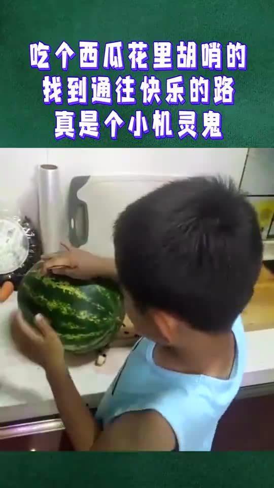 小機(jī)靈鬼吃瓜視頻大全,趣味橫生的歡樂(lè)時(shí)光