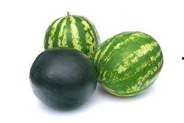 福建晉江吃瓜事件視頻,一場(chǎng)引發(fā)熱議的街頭沖突紀(jì)實(shí)