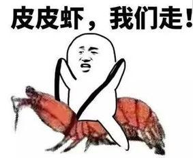 吃瓜群眾開場套路視頻