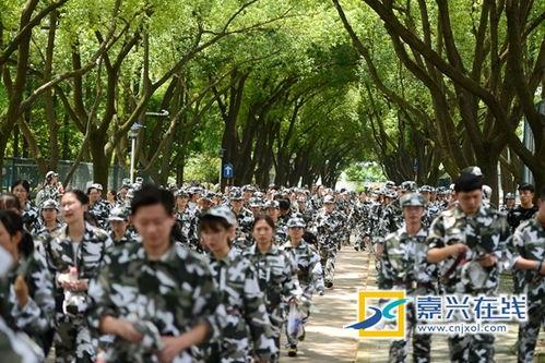 山東濰坊軍訓(xùn)吃瓜視頻,青春汗水與歡樂時(shí)光
